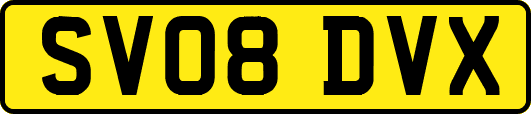 SV08DVX