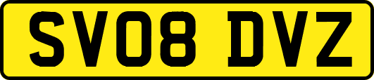 SV08DVZ
