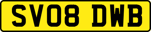 SV08DWB