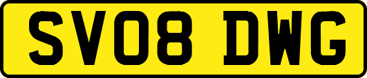 SV08DWG