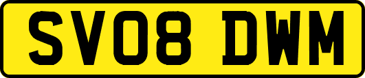 SV08DWM