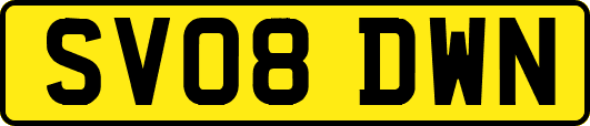 SV08DWN