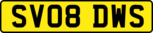 SV08DWS