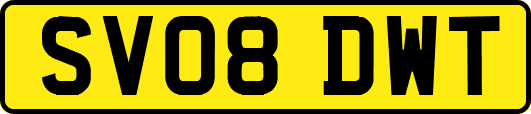 SV08DWT