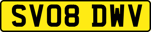 SV08DWV