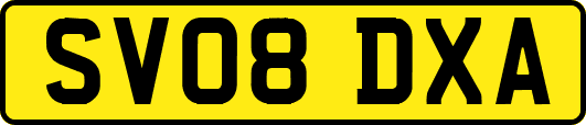 SV08DXA