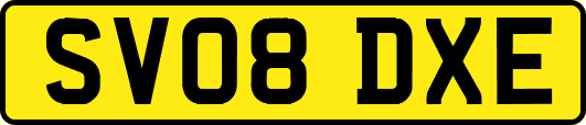 SV08DXE