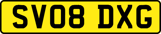 SV08DXG