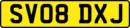 SV08DXJ