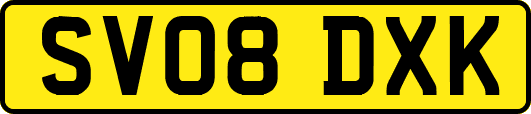 SV08DXK