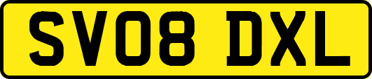 SV08DXL