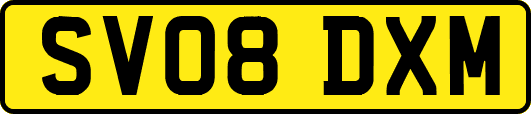 SV08DXM