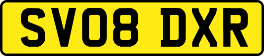 SV08DXR