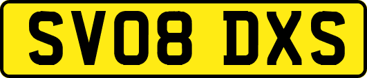 SV08DXS