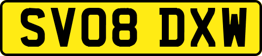 SV08DXW