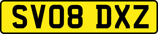 SV08DXZ
