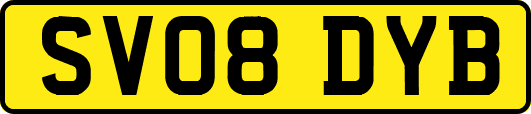 SV08DYB