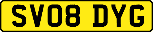 SV08DYG