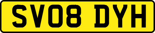 SV08DYH