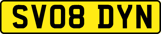 SV08DYN