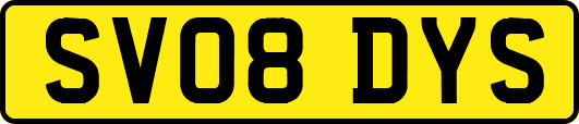 SV08DYS