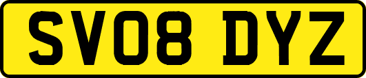 SV08DYZ