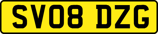 SV08DZG