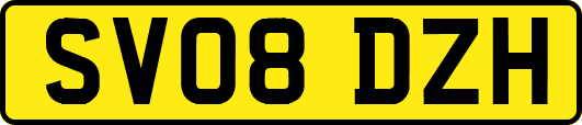 SV08DZH