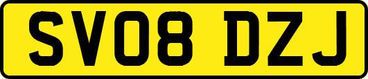 SV08DZJ