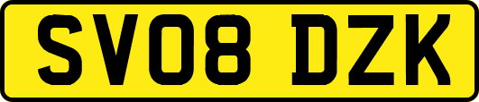 SV08DZK