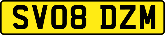 SV08DZM