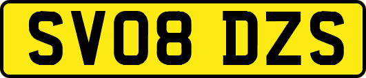 SV08DZS