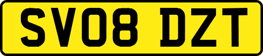 SV08DZT