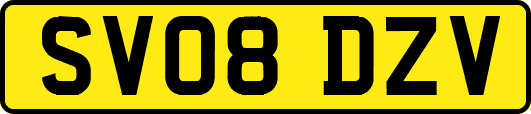 SV08DZV