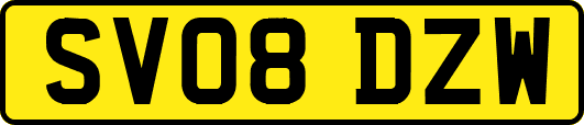 SV08DZW