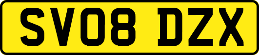 SV08DZX