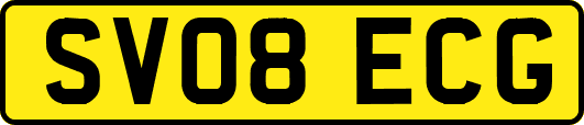 SV08ECG