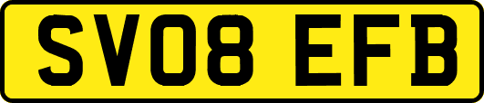 SV08EFB