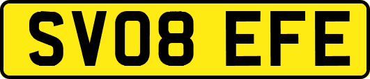 SV08EFE