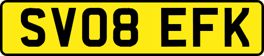 SV08EFK
