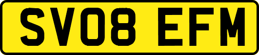SV08EFM