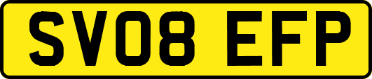 SV08EFP