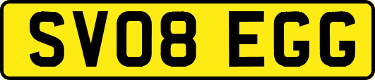 SV08EGG