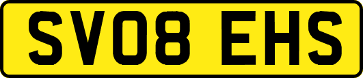 SV08EHS