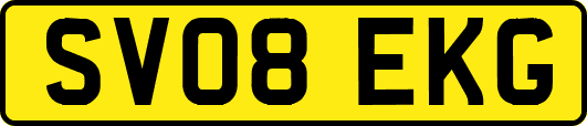 SV08EKG