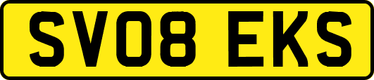SV08EKS