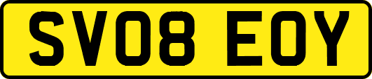 SV08EOY