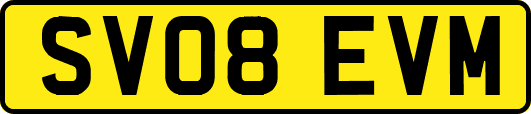 SV08EVM