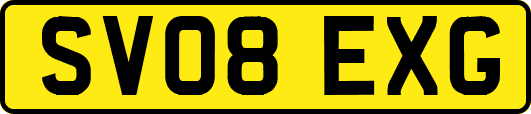SV08EXG