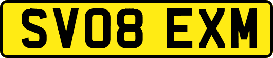 SV08EXM